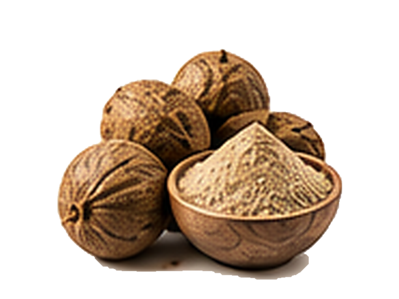 Bibhitaki