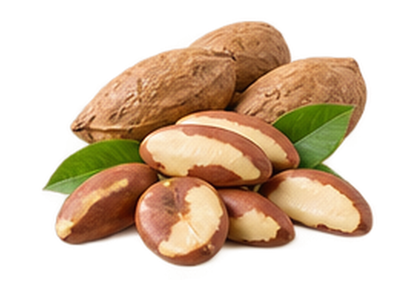 Brazil Nuts