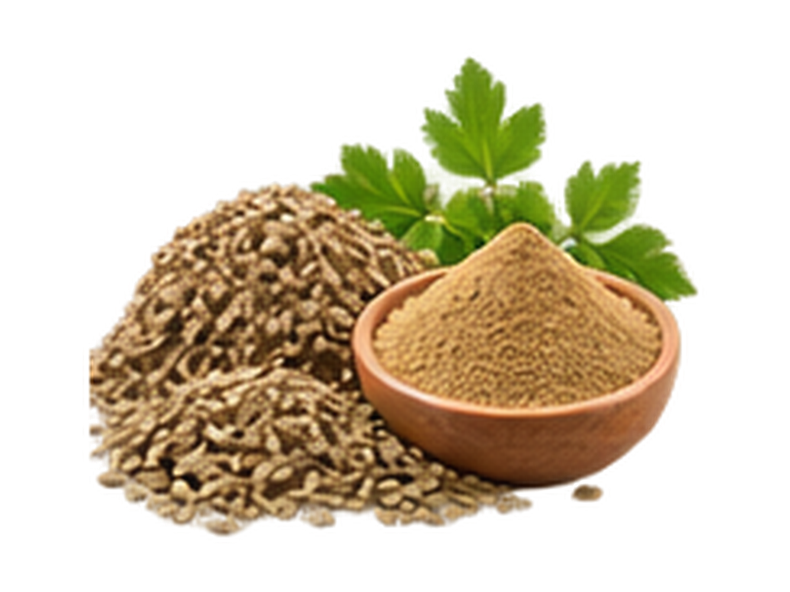 Celery Seeds