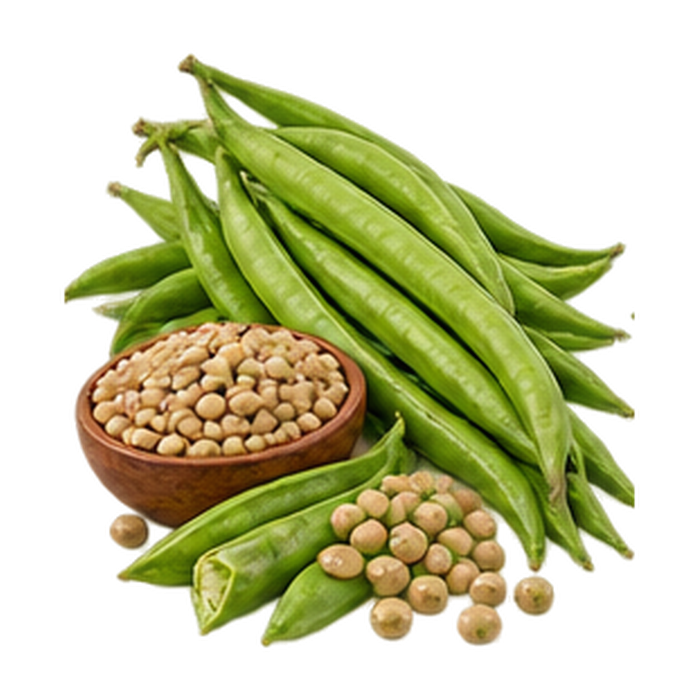 Cluster Beans / Guar