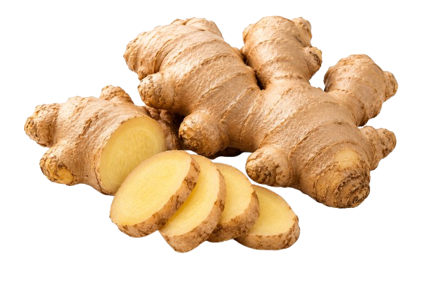 Ginger