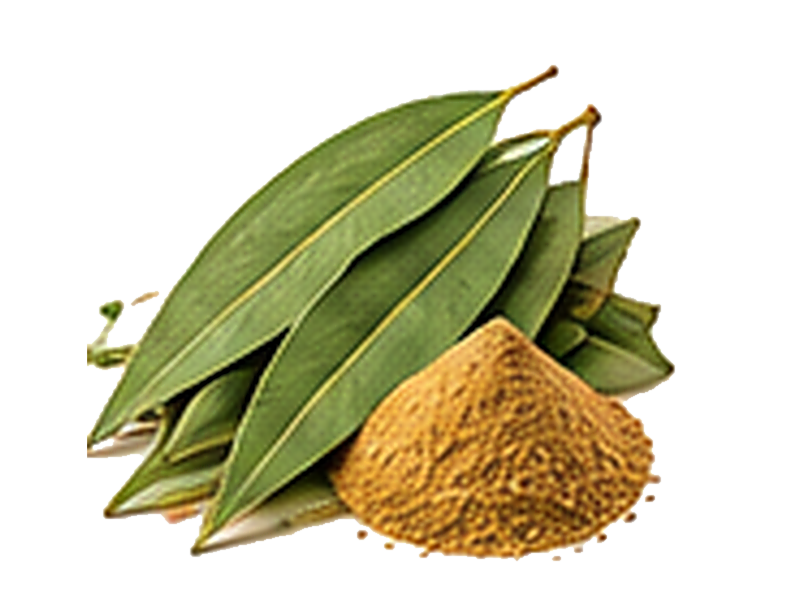 Eucalyptus