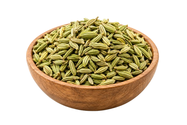 Fennel