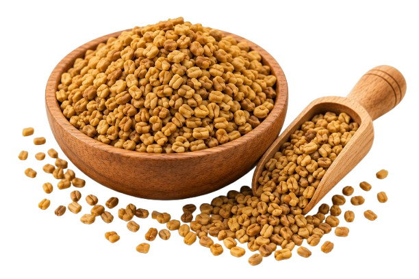 Fenugreek