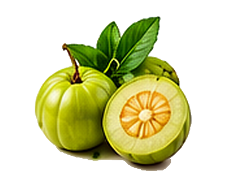 Garcinia