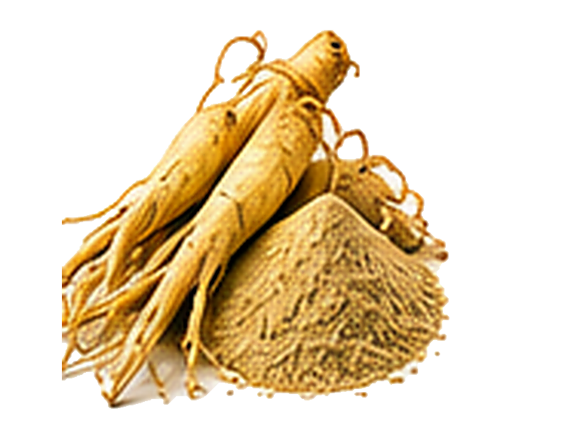 Ginseng