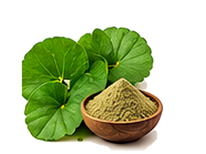 Gotu Kola / Mandukaparni
