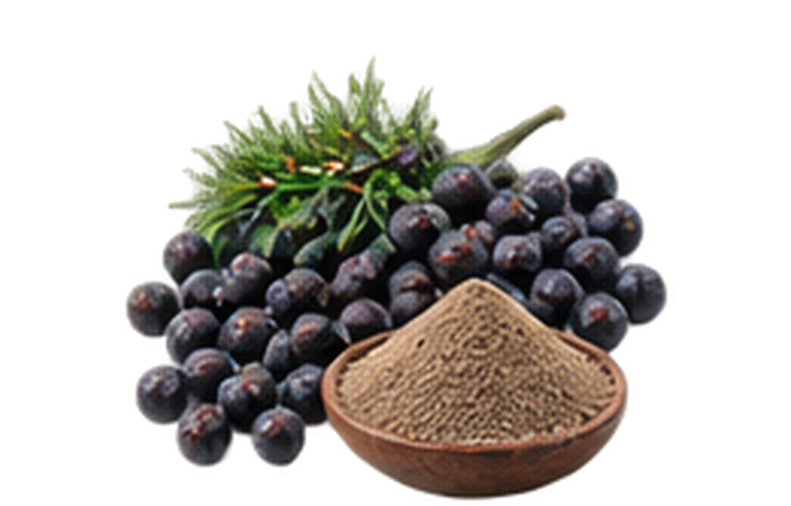 Juniper Berries