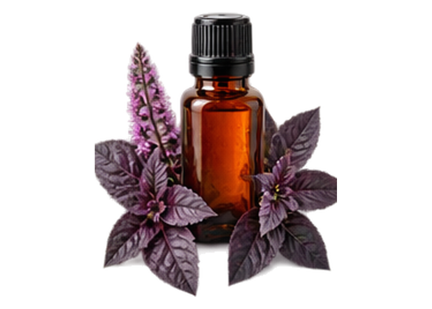 Krishna Shyama Basil Essential Oil