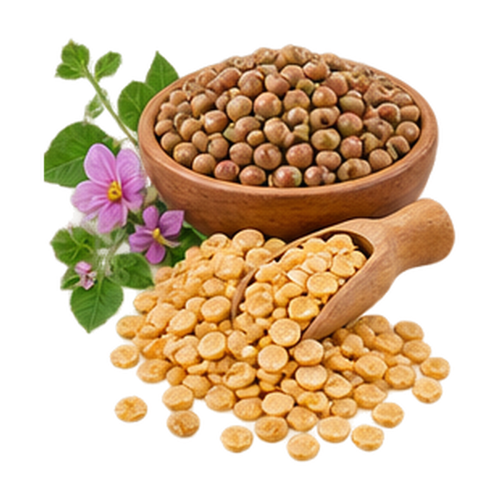 Lathyrus / Khesari