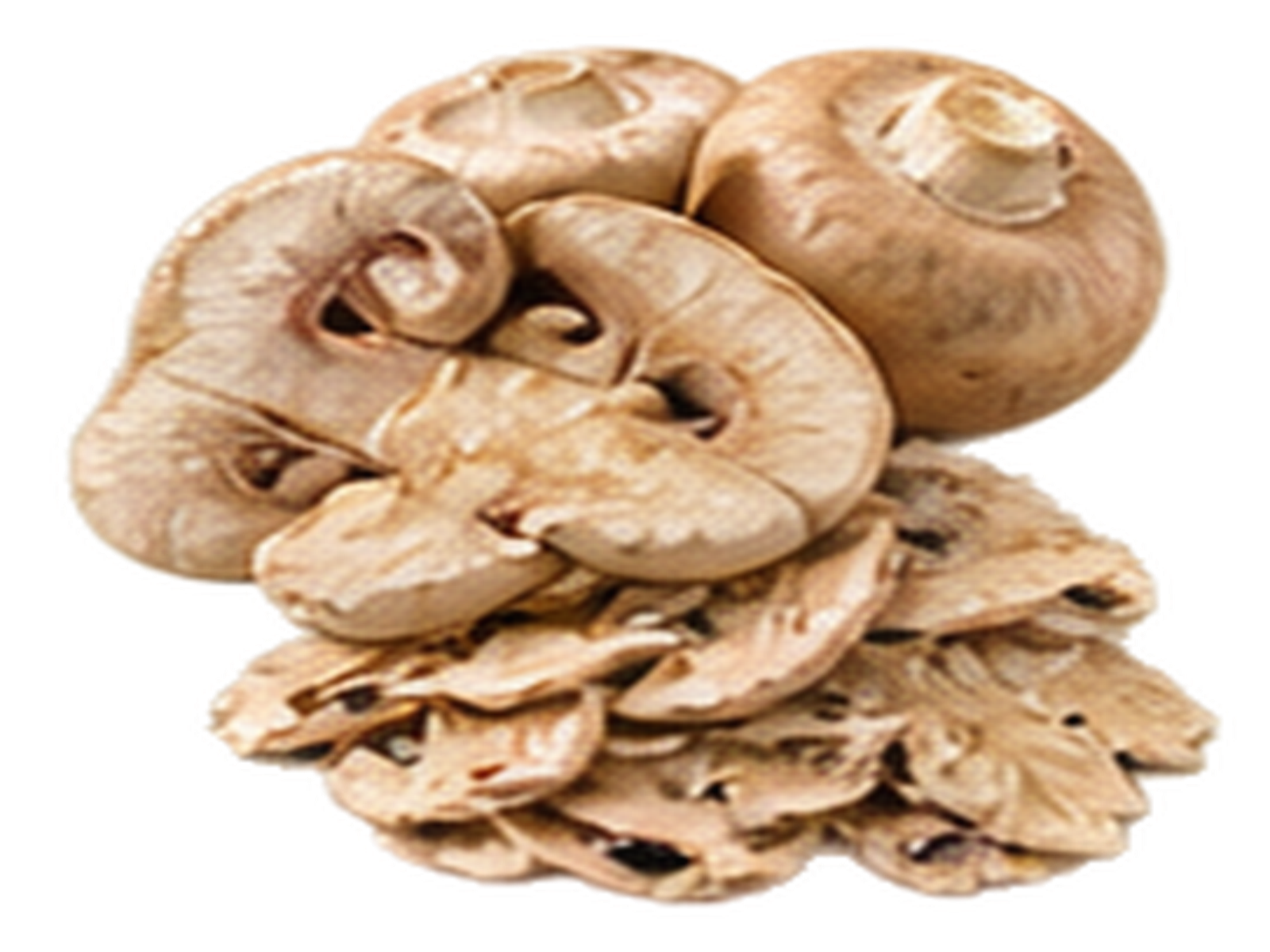 Mushroom