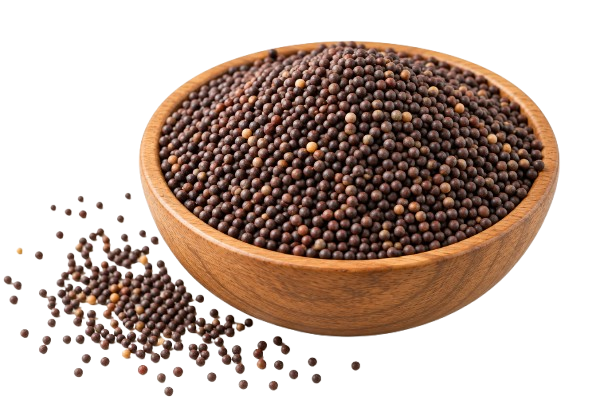 Mustard Seed