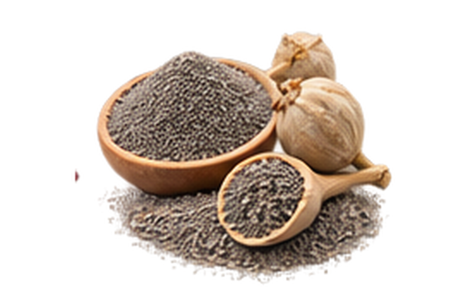Poppy Seeds