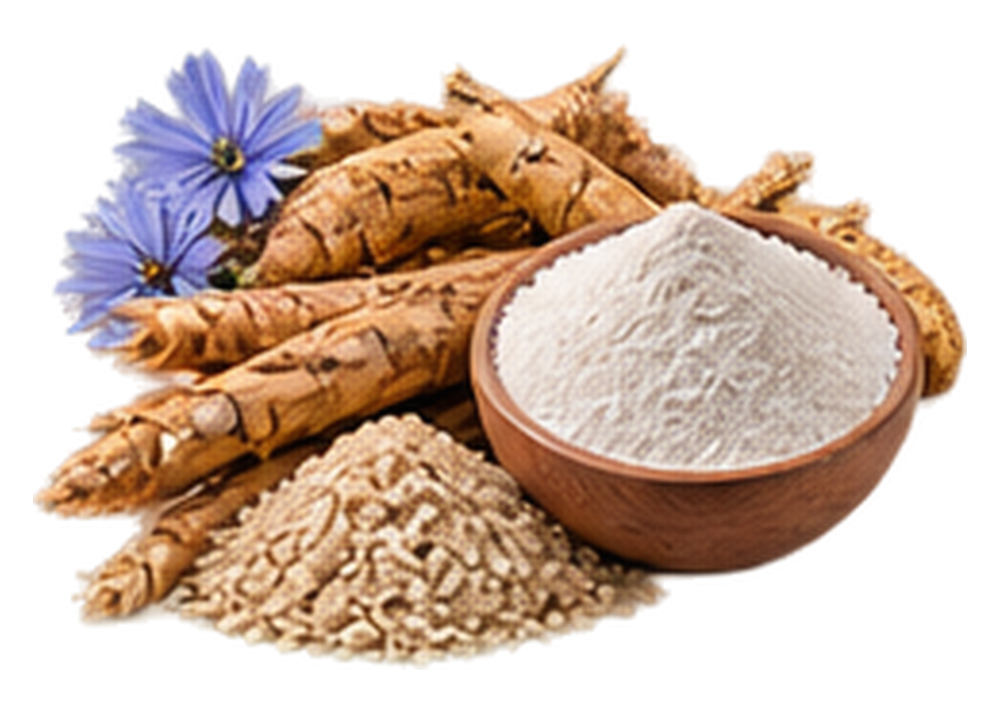Prebiotic / Functional Fibres