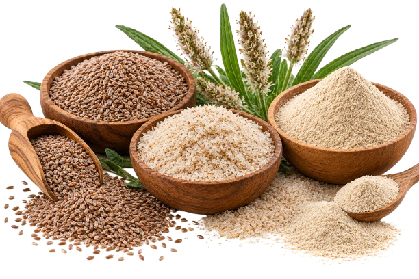 Psyllium / Isabgol
