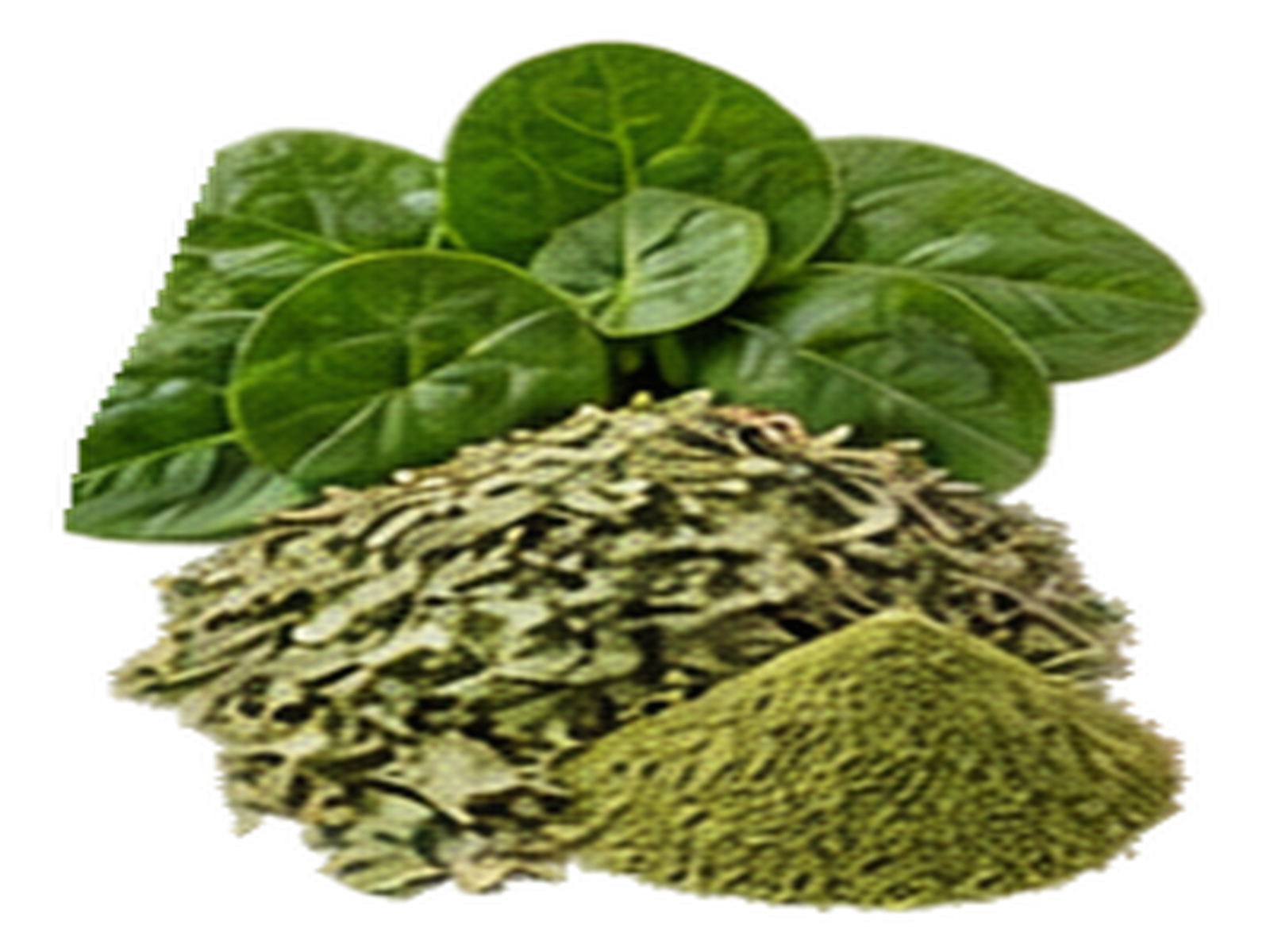 Spinach