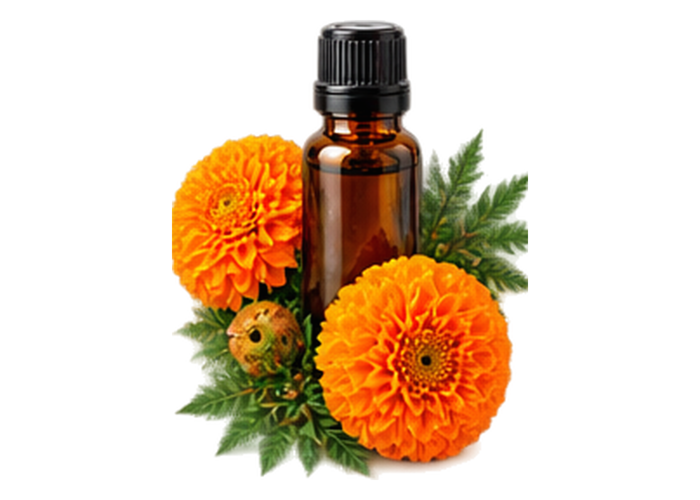 Tagetes Essential Oil