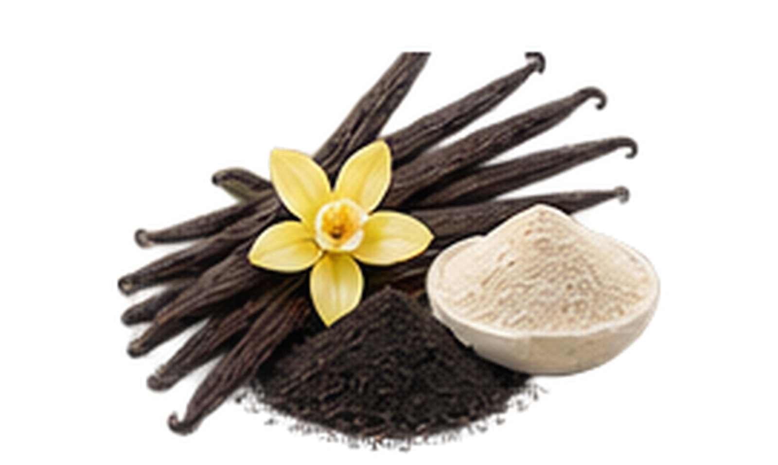 Vanilla