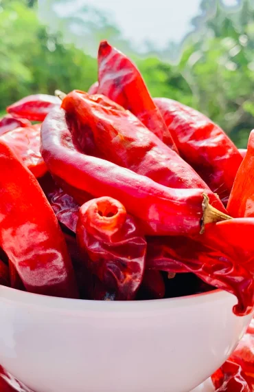 Red chili