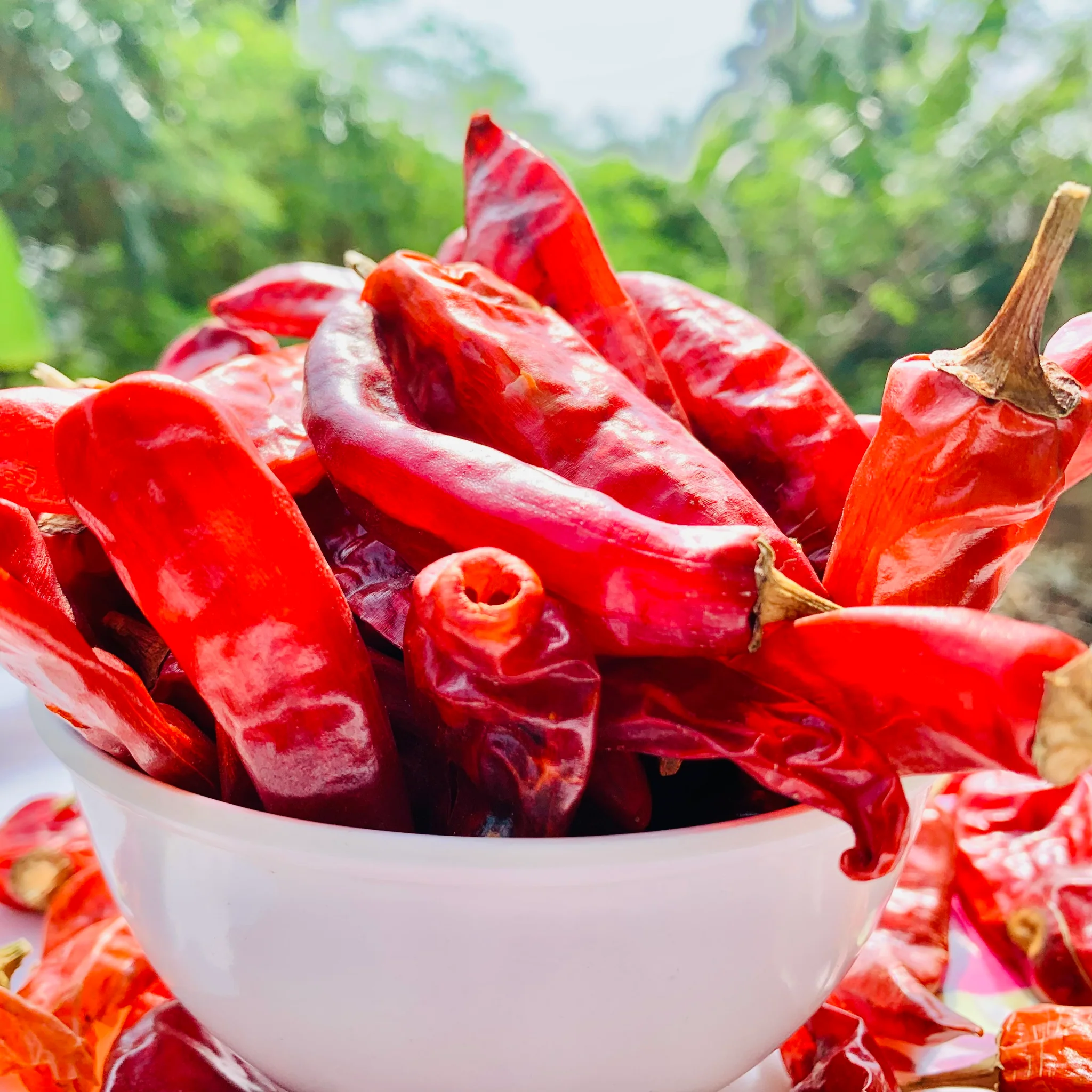 Red chili