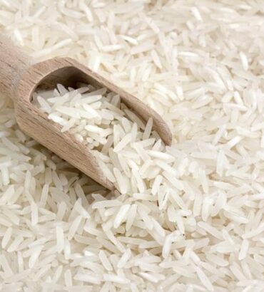 Rice