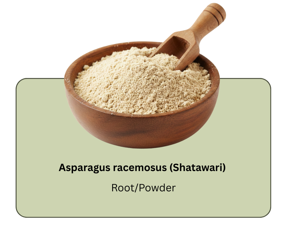 azadirachta indica (neem) (18)