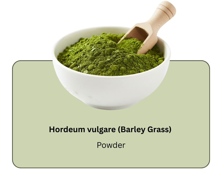 azadirachta indica (neem) (19)