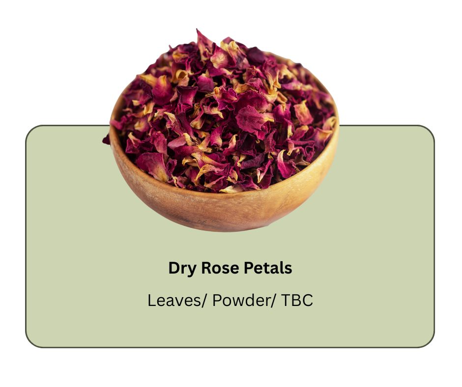 azadirachta indica (neem) (4)