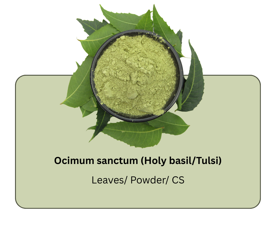 azadirachta indica (neem) (9)