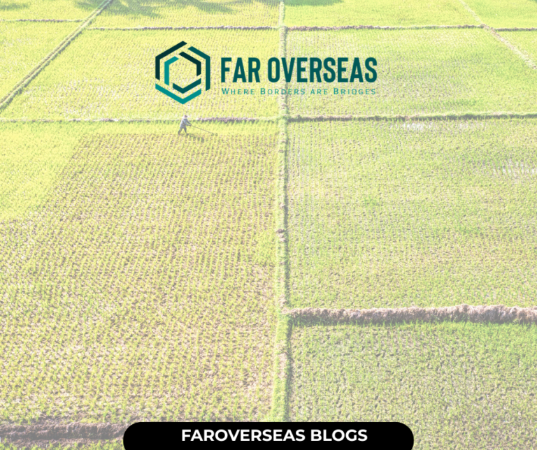 faroverseas blogs (2)