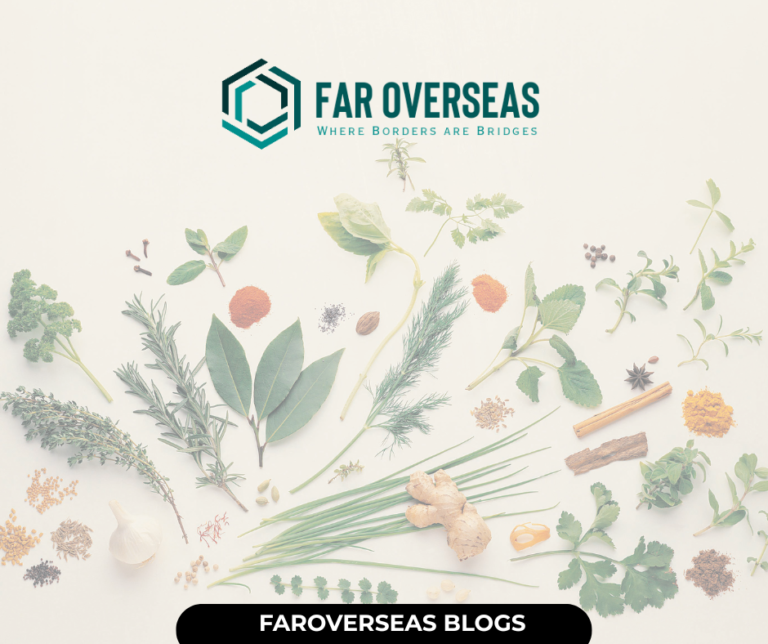 faroverseas blogs (3)