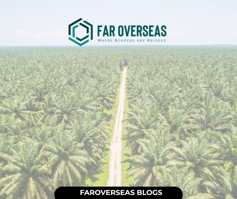 faroverseas blogs (4)