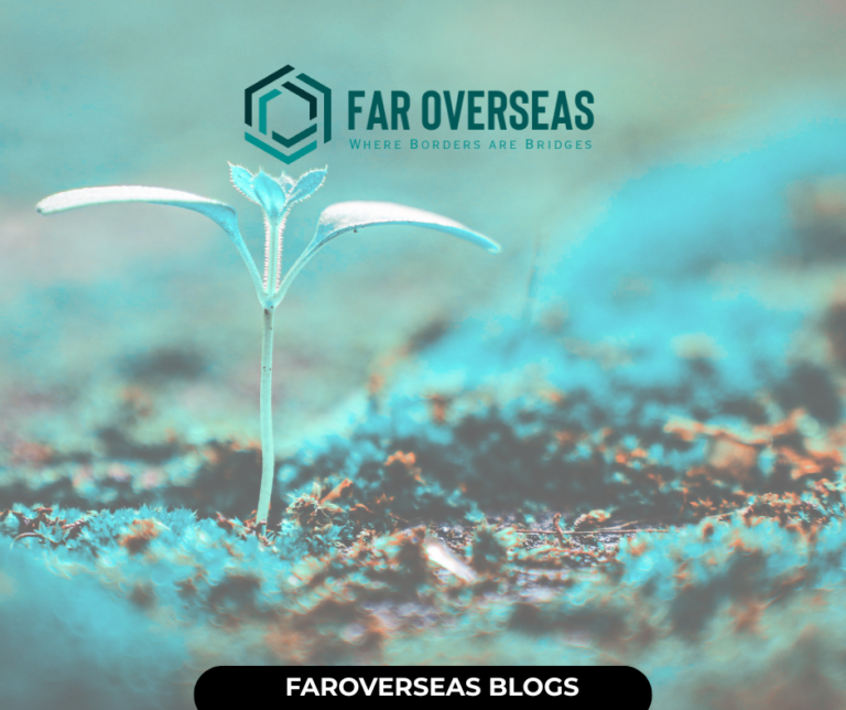 faroverseas blogs