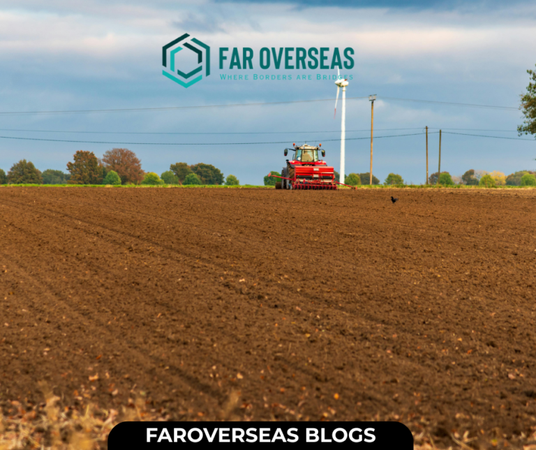 faroverseas blogs (10)