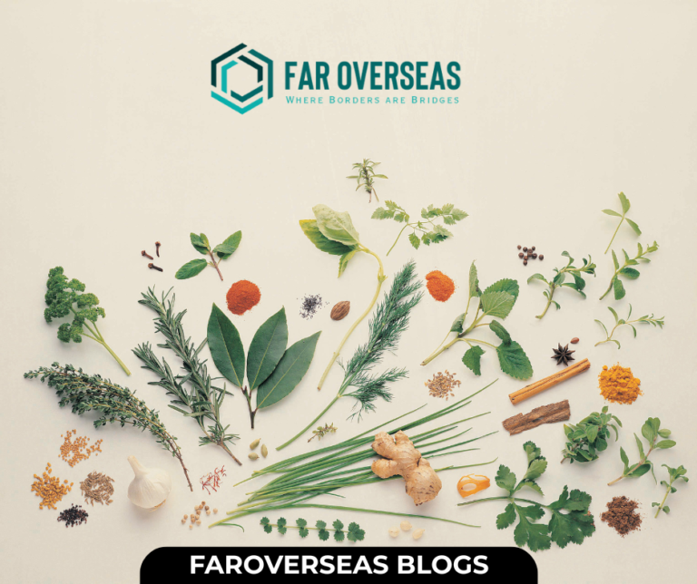 faroverseas blogs (11)