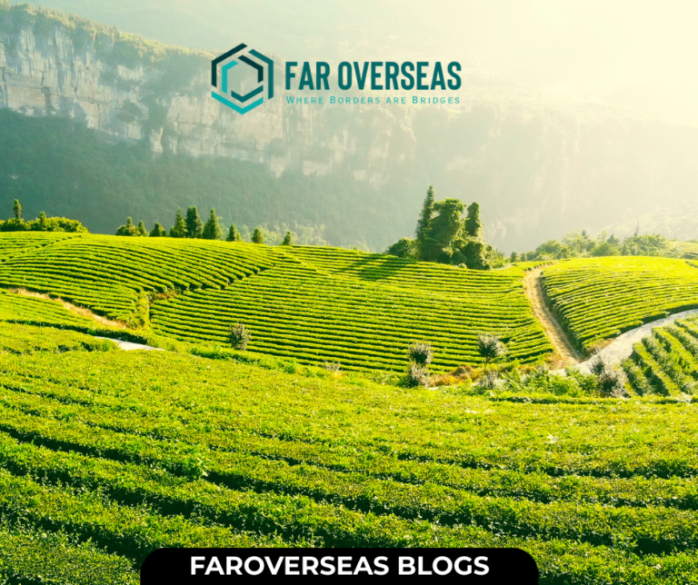faroverseas blogs (12)