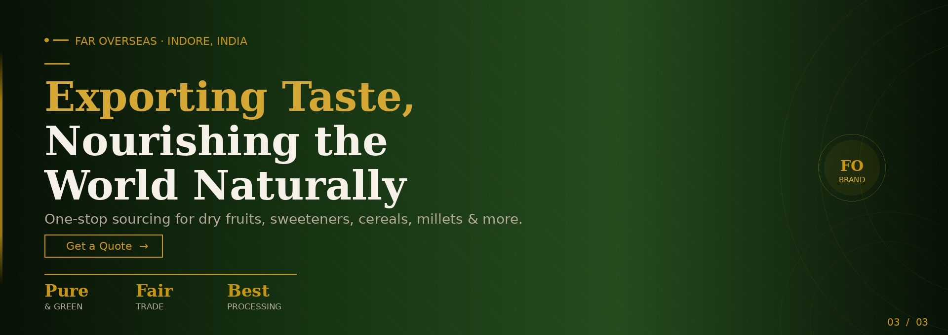 slide3_brand_identity