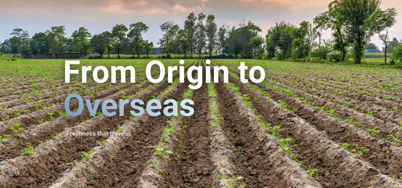 Exporting Taste Worldwide (1)