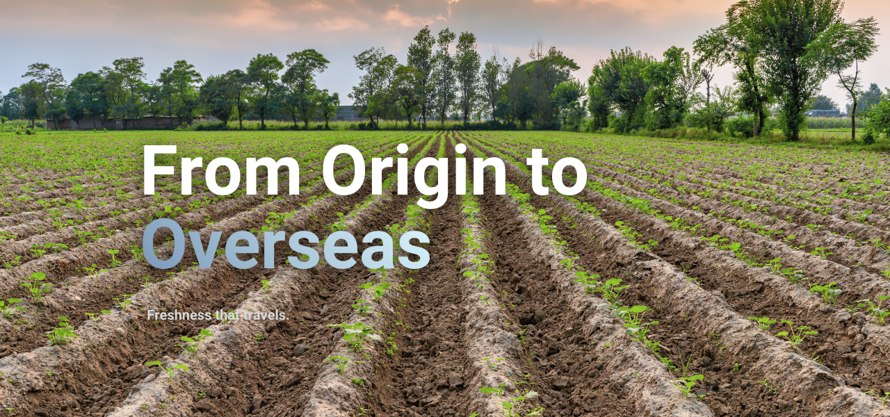 Exporting Taste Worldwide (3)